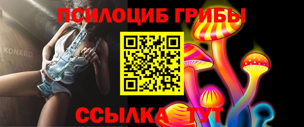 Армавир  купить наркотик  Вход с VPN  Псилоцибиновые грибы ЛСД  Псилоцибиновые грибы ЛСД 