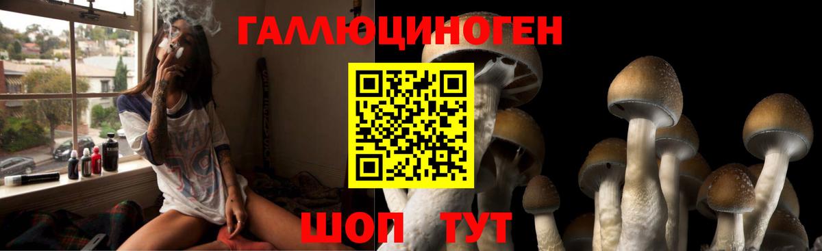 Псилоцибиновые грибы Cubensis Армавир